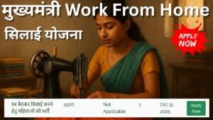 SILAI YOJANA Work From Home Job